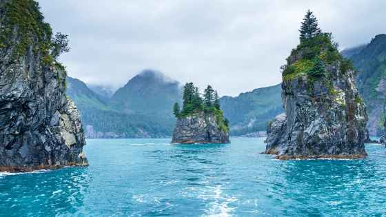 Kenai Fjords National Park, Alaska