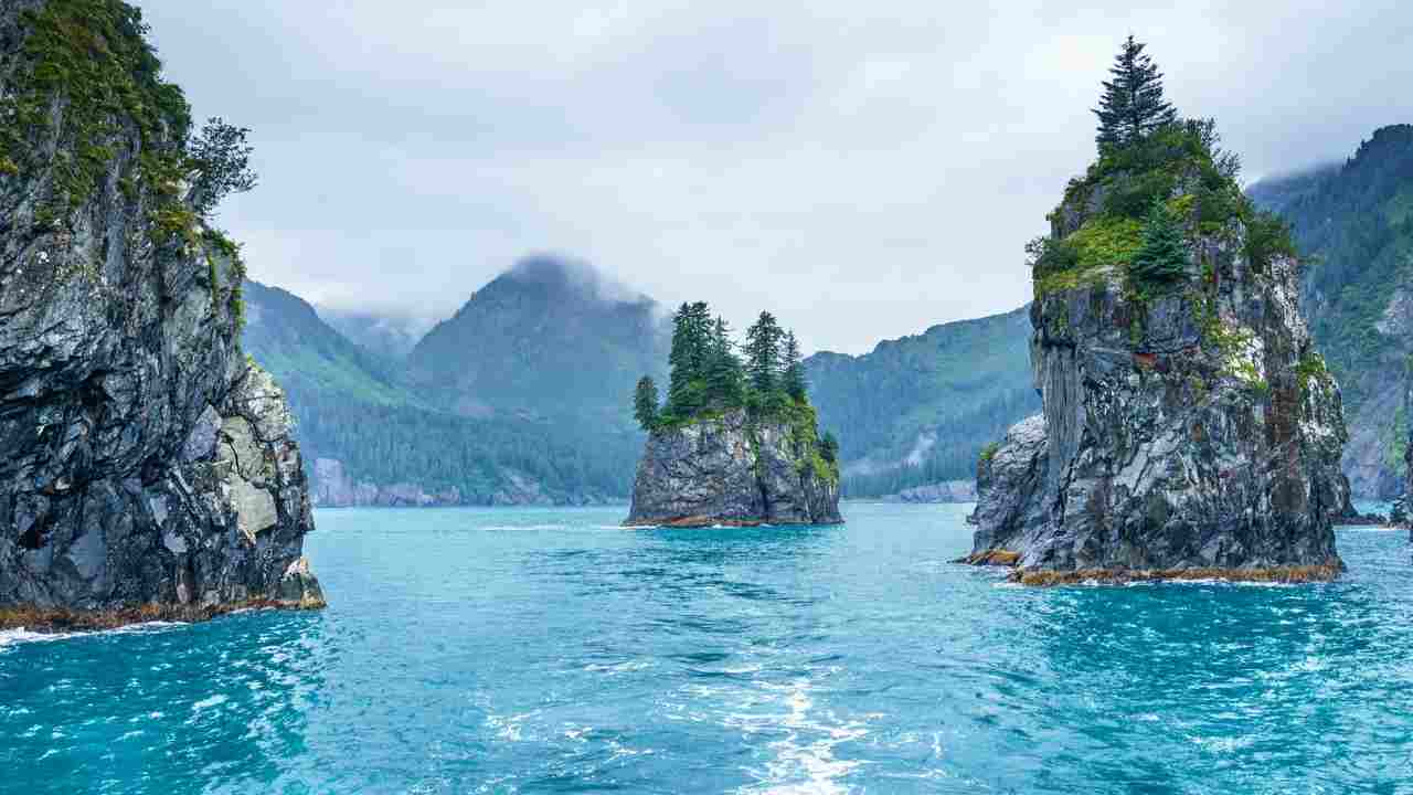 Kenai Fjords National Park